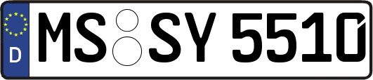 MS-SY5510