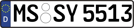 MS-SY5513