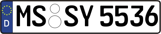 MS-SY5536