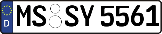 MS-SY5561