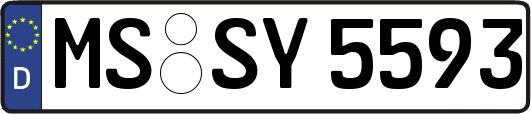 MS-SY5593