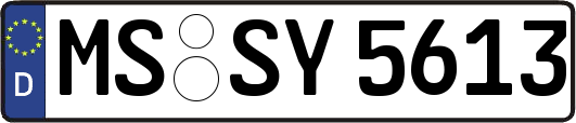 MS-SY5613