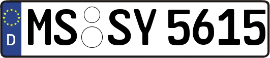 MS-SY5615