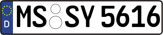 MS-SY5616