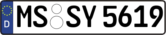 MS-SY5619