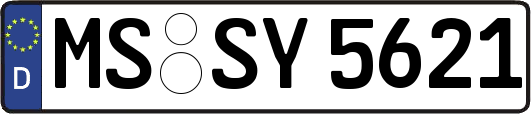MS-SY5621
