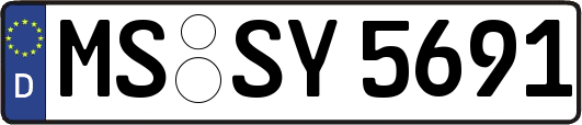 MS-SY5691