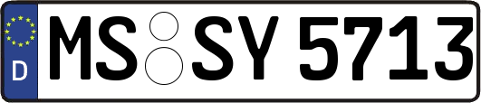 MS-SY5713