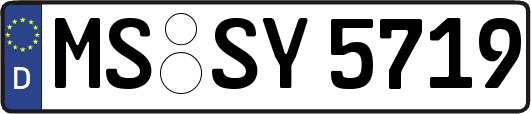 MS-SY5719