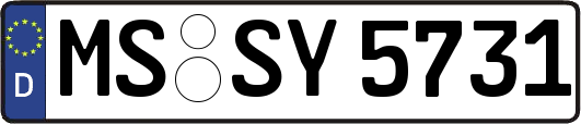 MS-SY5731