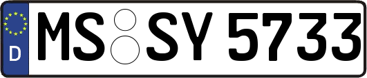 MS-SY5733