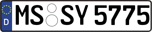 MS-SY5775