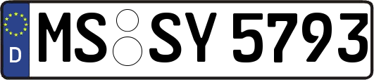 MS-SY5793
