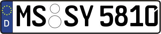 MS-SY5810