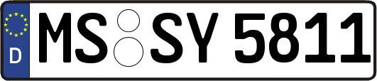 MS-SY5811