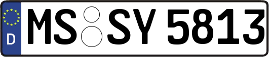 MS-SY5813