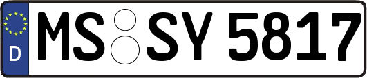 MS-SY5817