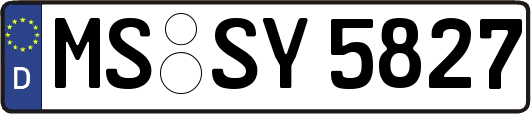 MS-SY5827