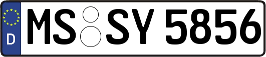 MS-SY5856