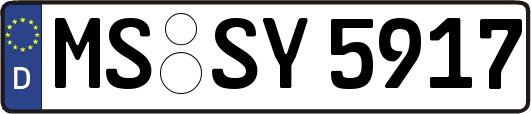 MS-SY5917