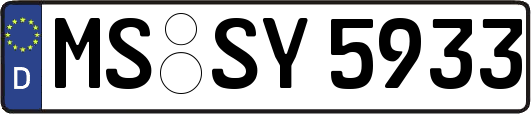 MS-SY5933