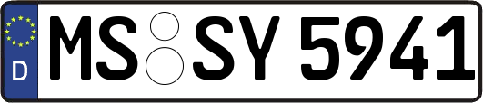 MS-SY5941