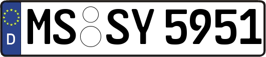 MS-SY5951
