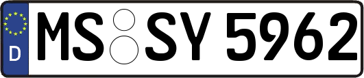 MS-SY5962