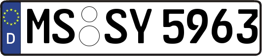 MS-SY5963