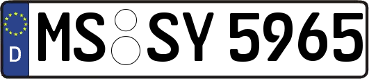 MS-SY5965