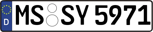 MS-SY5971
