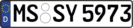 MS-SY5973
