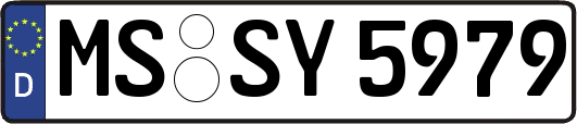 MS-SY5979