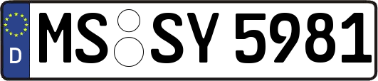 MS-SY5981