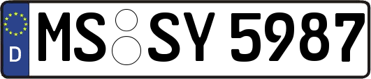 MS-SY5987