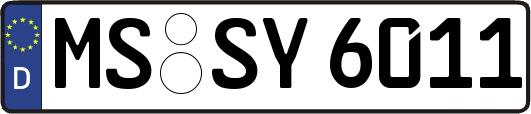 MS-SY6011