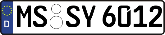 MS-SY6012