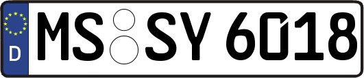 MS-SY6018