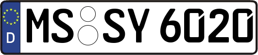 MS-SY6020