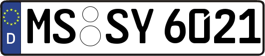 MS-SY6021
