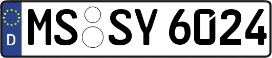 MS-SY6024