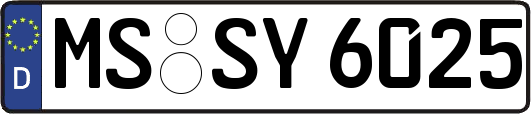 MS-SY6025