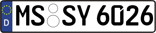 MS-SY6026