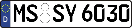 MS-SY6030