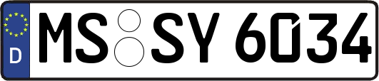 MS-SY6034