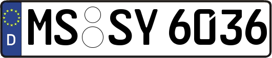 MS-SY6036