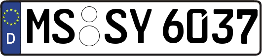 MS-SY6037