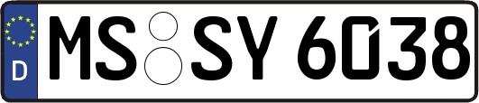 MS-SY6038