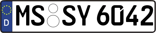 MS-SY6042