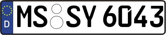 MS-SY6043